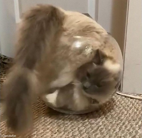 ���ȭ��ǭ03