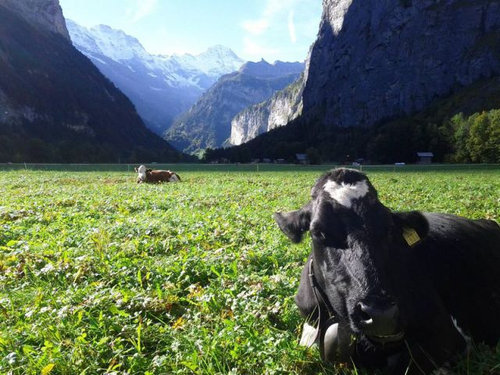 日常では見ることのない光景 002