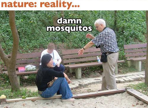 �����ȥɥ������ۤȸ���08