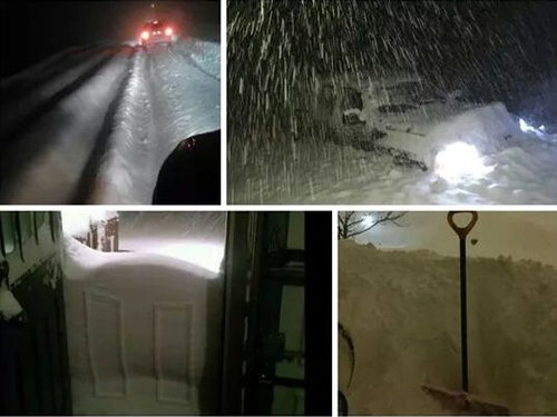 会社を欠勤できない03