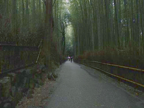 嵐山の竹林04