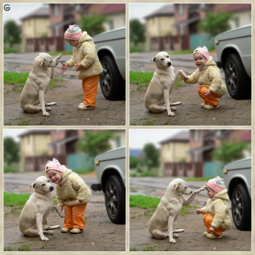 かわいい写真01