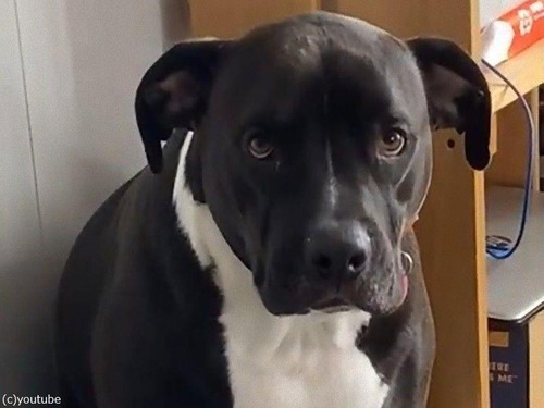 ���������ʥ٥åɤǲ���������ͳ04