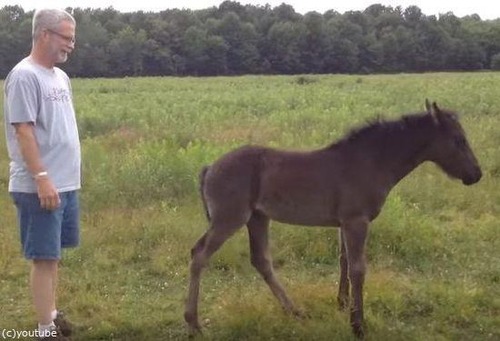 �����򥳥��祳���礷�Ƥۤ�������03