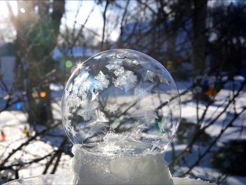 �礭�ʥ���ܥ�̤����02