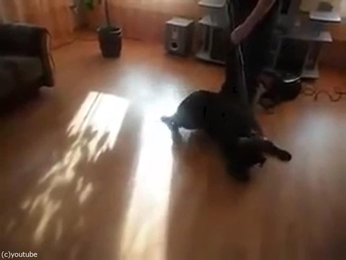 �ݽ�����֤ʸ�03