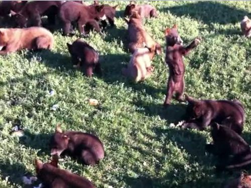 �ҥ�����Ω��