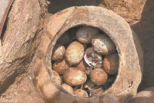 2500年前の卵が無傷で出土01