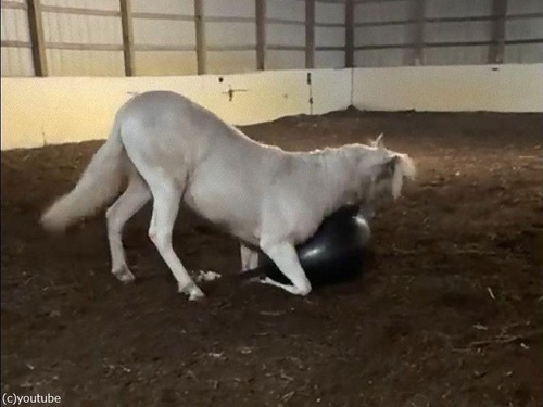 �Ϥȥ������������ܡ���03