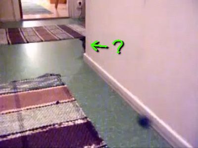 ������ʤ�ǭ