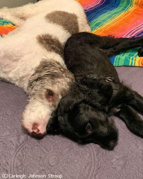 ڥåȤޤˡ轻ڥåȤ̤Ƥ٤ͳ04