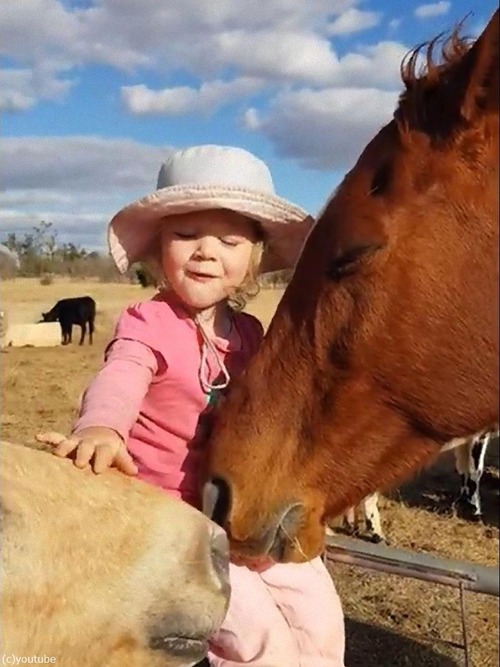馬が3歳の女の子の歌にウットリ02