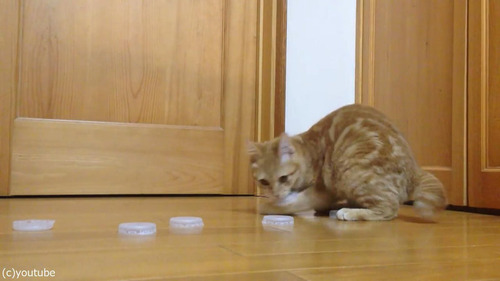 ǭ�����륭���ѡ�07