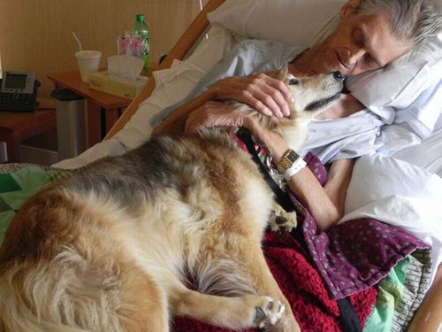 最後は愛犬と07