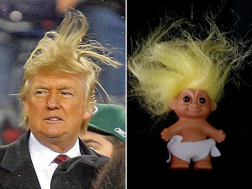 トランプ氏の髪型と完全に一致14