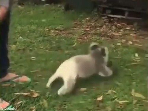 ��ʳ�����֤���󥳥���02