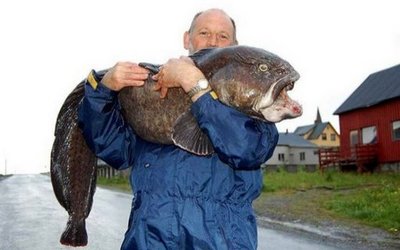 とんでもない魚06