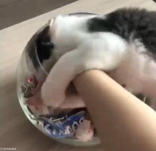 ��ǭ�����饹�ӤΥ����ǥ������餹��03