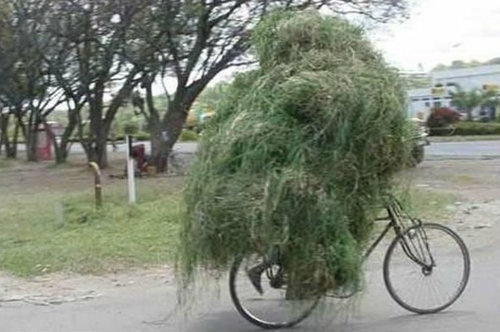 怪しげな隠れ方06