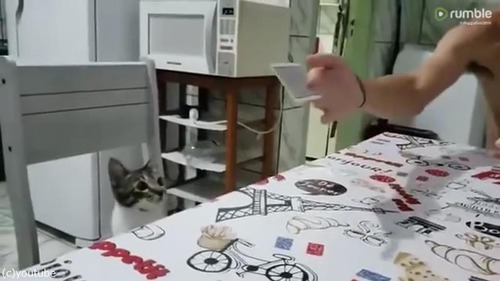 �ͤä��������礵��μ��ʤ˺���01