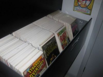 海外のコミック愛好家09