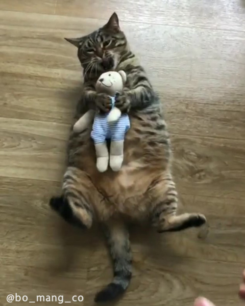 ������㥭��å��ͤ�03