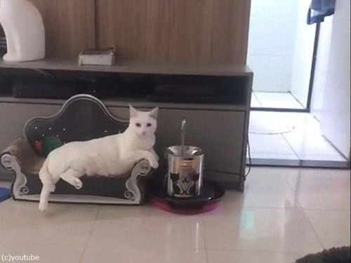 �Ǥ�ͥ���˿�����ǭ03