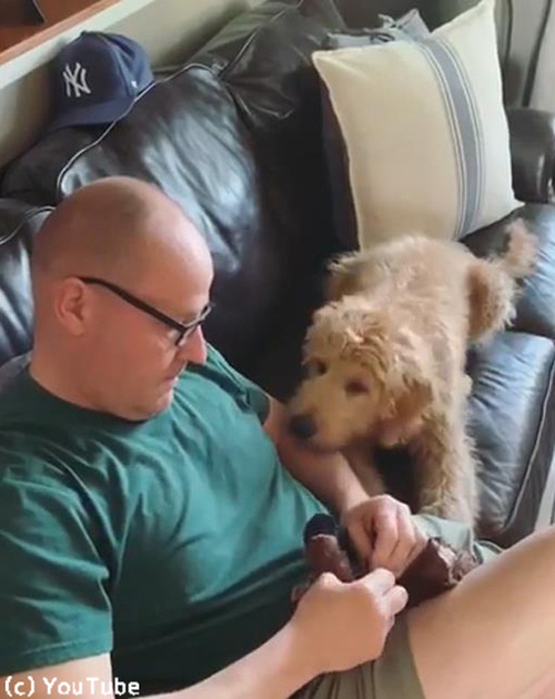 おもちゃの修理を見守るワンコ03