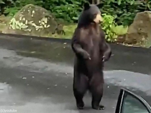 ���ޤ��־�Ӥ餷05