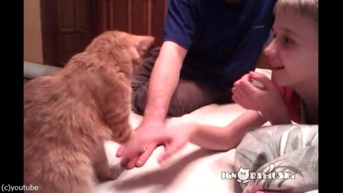 �֤����˸�����ǭ01