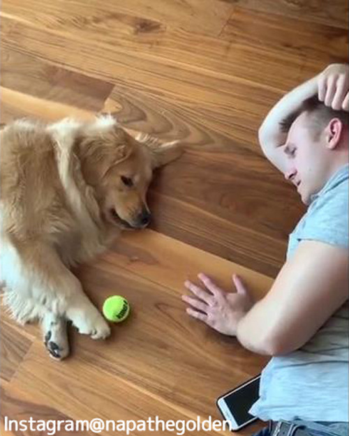 ����ʤˤ�뵤�Τʤ�����å��ܡ��븫�����Ȥʤ��ʾС�05