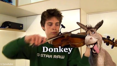 ヴァイオリニストが動物の鳴き声を演奏する04