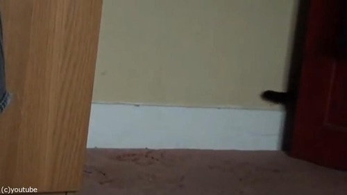 ޥǭ»ҤλǭϢ쵢Ȥ03