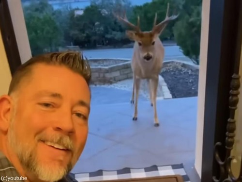 家の玄関で鹿と自撮りするテキサスのパパ