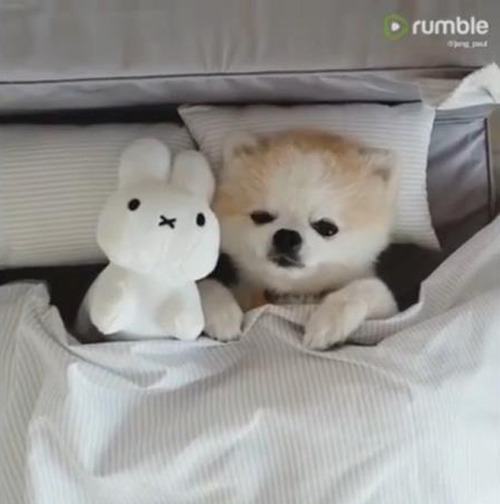 ¤³¤ó¤Ê¤Ë¤«¤ï¤¤¤¤¿²Áê¤Î¥Ý¥á¸«¤¿¤³¤È¤¢¤ë¡©03