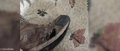 ����ꥫ�ι����5���֤��ޤ�ä�����03