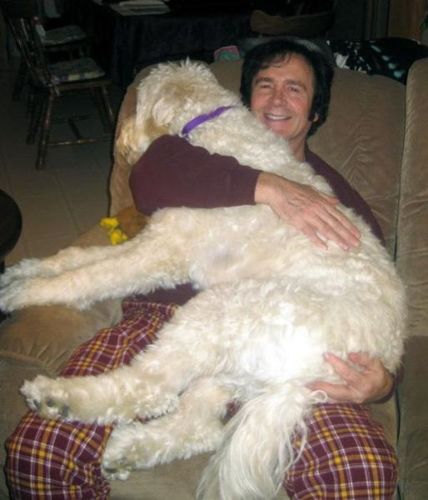 犬と仲良し07