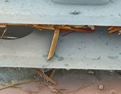 �ŻҸ�����������14