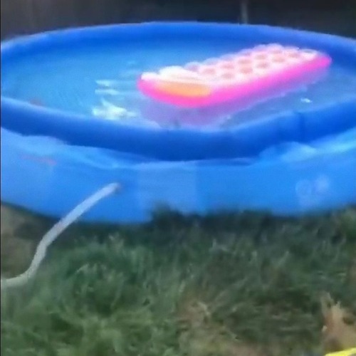 かくれんぼに本気の父親01