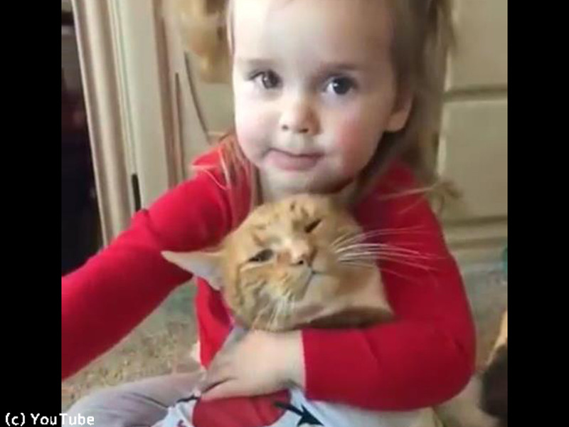 少女に溺愛される茶トラの猫ちゃんが キュートすぎる 動画 らばq