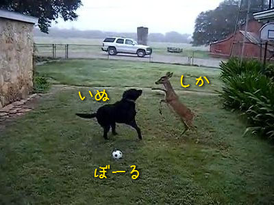 ���ɤ��ʸ��ȼ�