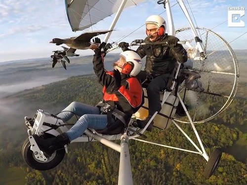 Ļ�Ȱ�������00