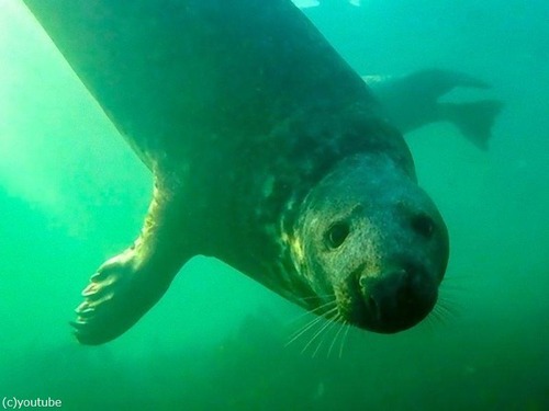 �����Υ����饷�����á��00