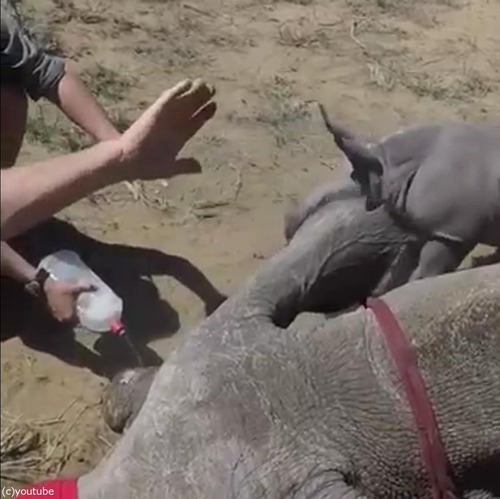 �������֤���󤬥ޥޤ���05