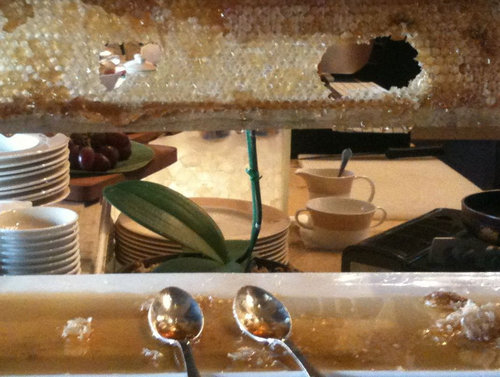 タイのホテルのはちみつ02