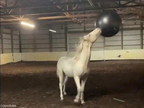 �Ϥȥ������������ܡ���02