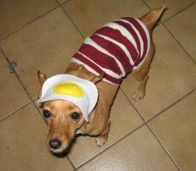 おいしそうなペット01