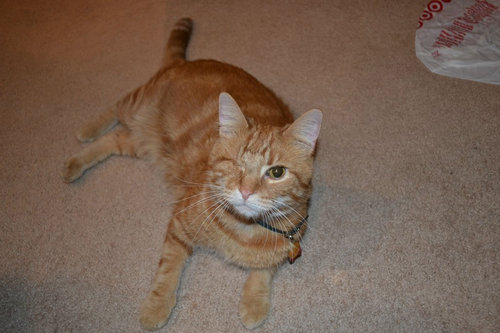 ゲームコレクション17