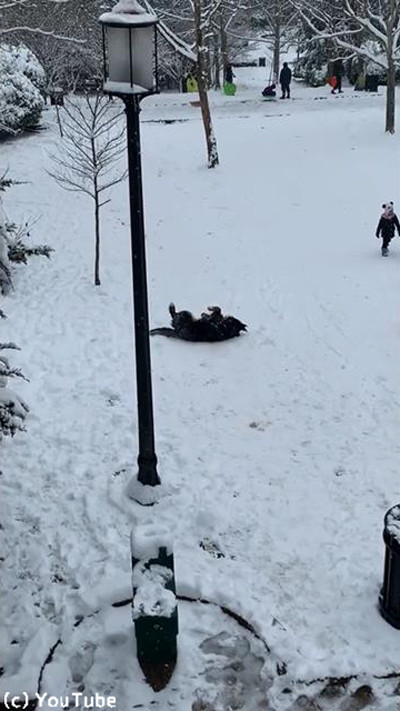 ��򰦤��Ƥ�ޤʤ��������03