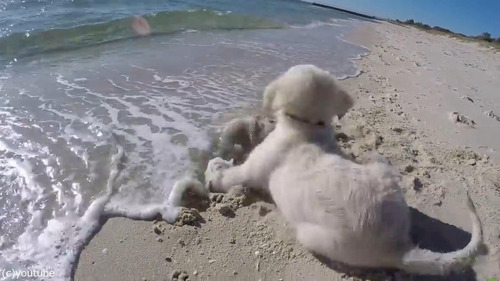 �Ȥ��臘�Ҹ�04